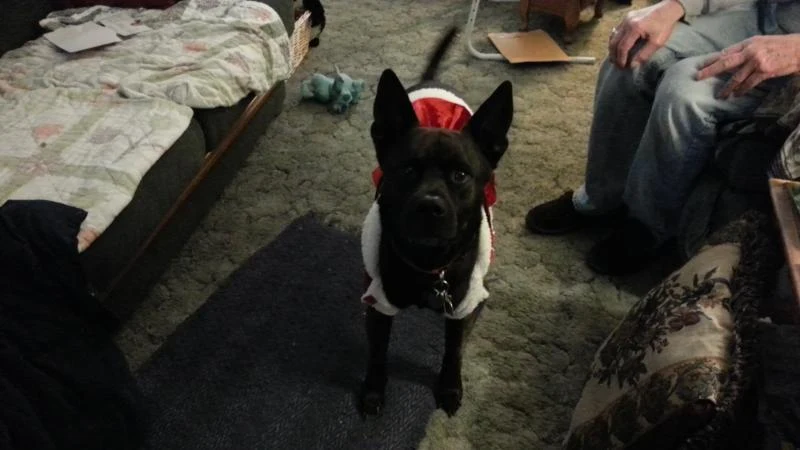 Charlie Clause