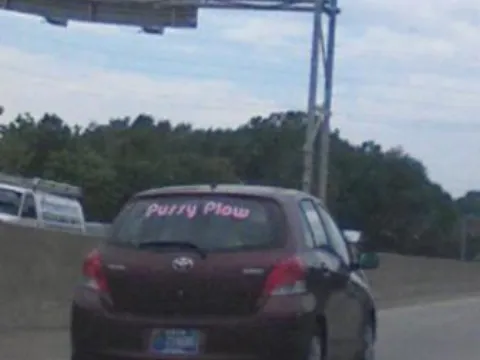 Pussy Plow