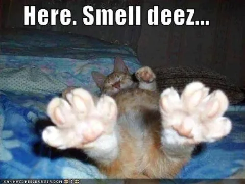 Smell Deez