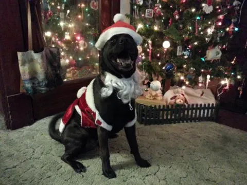 20121223 153138