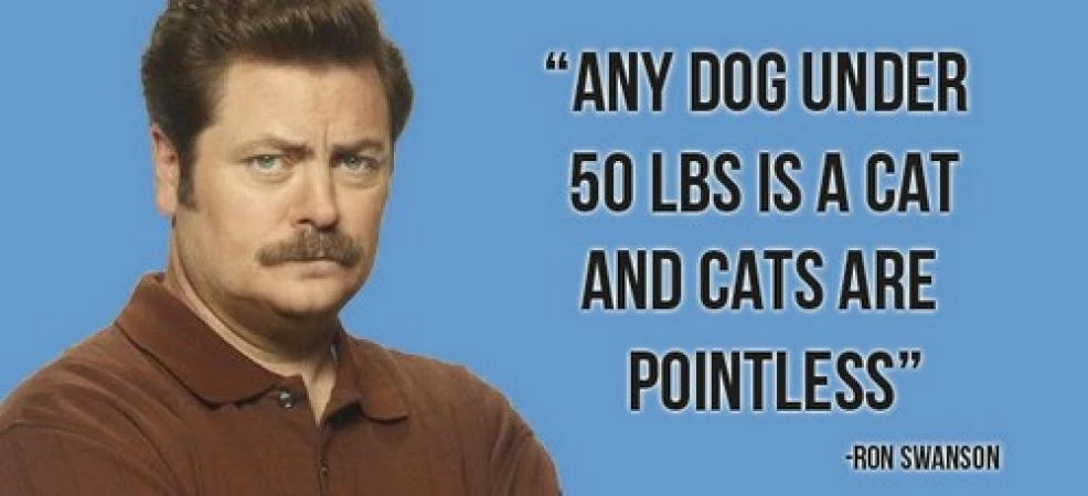 AnyDogUnder50lbs
