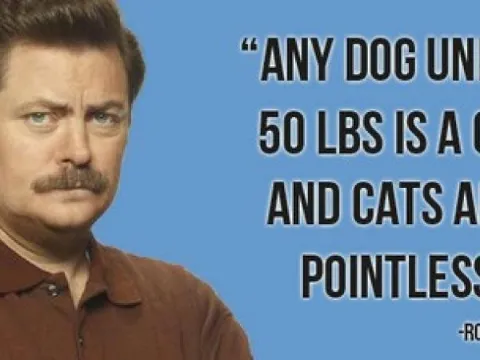 AnyDogUnder50lbs