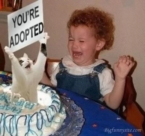 adopted