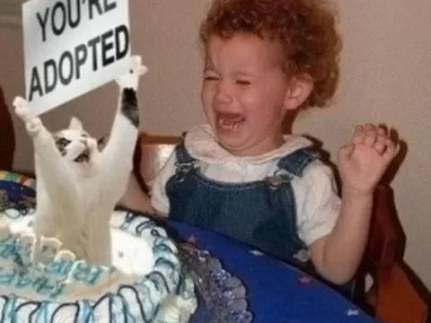 adopted